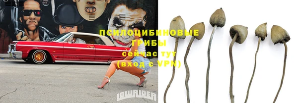 скорость Дмитровск