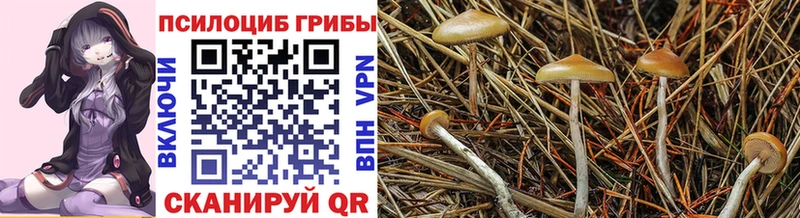 что такое наркотик  Плавск  OMG рабочий сайт  Галлюциногенные грибы Magic Shrooms 
